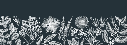 Hand sketched autumn banner on chalkboard. Fall leaves background and botanical sketch art. Vintage cover design with autumn leaves, berries, flowers, birds. Floral art for wall decoration and print